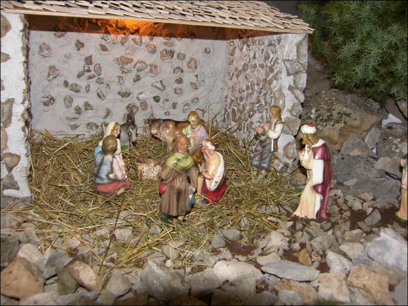 jaslice (6)